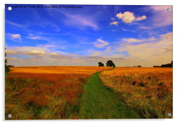 Grass path Acrylic by Ian Purdy