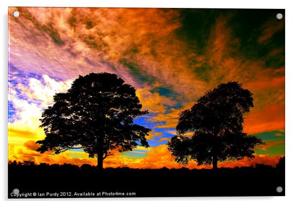 Two tree silhouette Acrylic by Ian Purdy