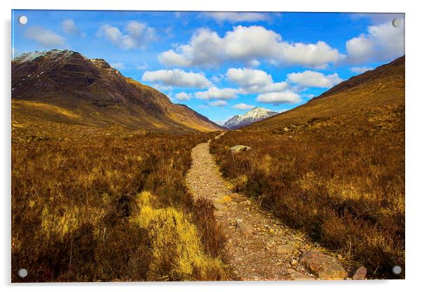  Path to the mountains Acrylic by Ian Purdy