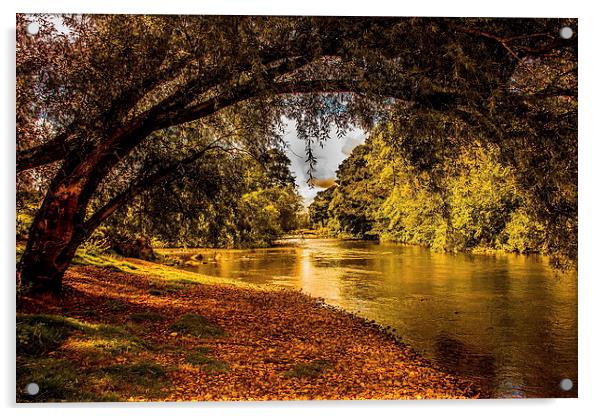 River Derwent Acrylic by Ian Purdy