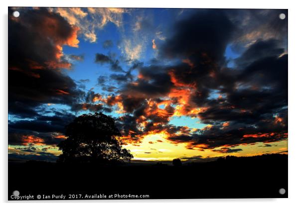 Sun fire sky Acrylic by Ian Purdy