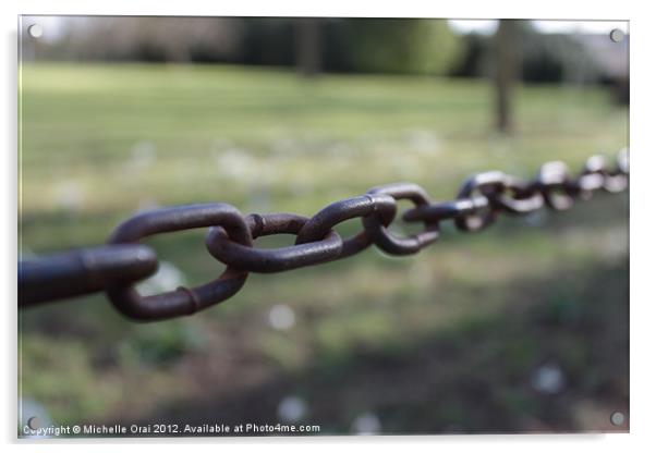 Chain link against grass Acrylic by Michelle Orai