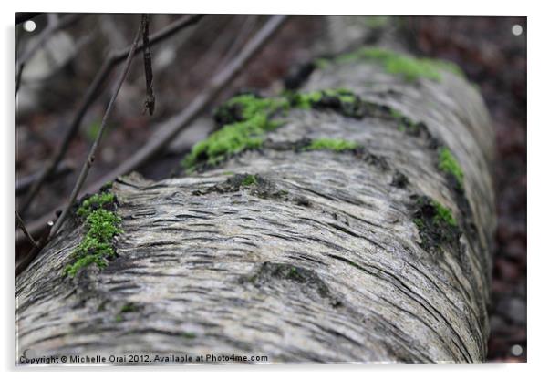 Bark and Moss Acrylic by Michelle Orai