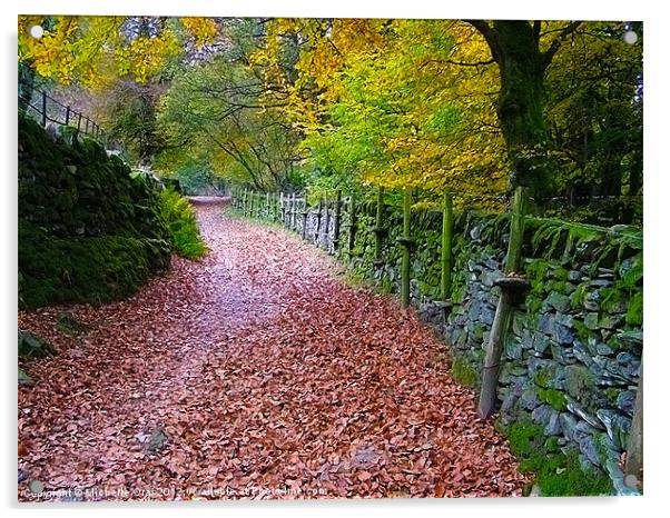 Lake District Path Acrylic by Michelle Orai