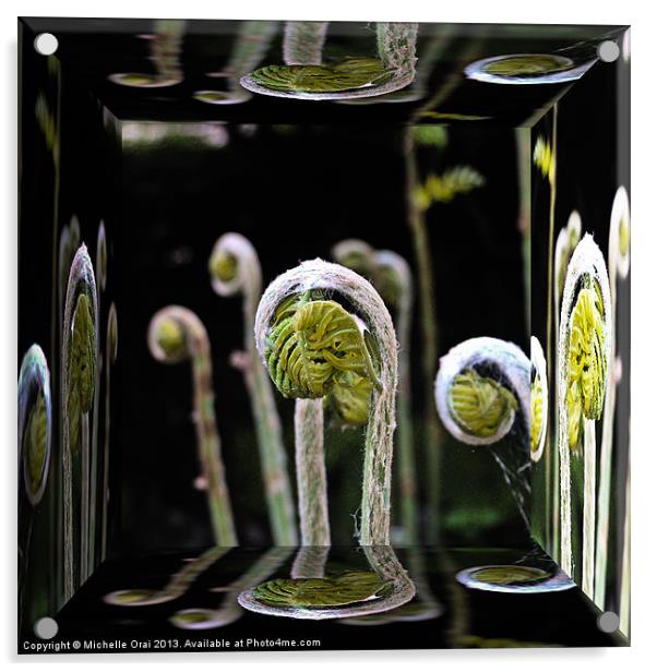 Unfurling Ferns Reflections Acrylic by Michelle Orai