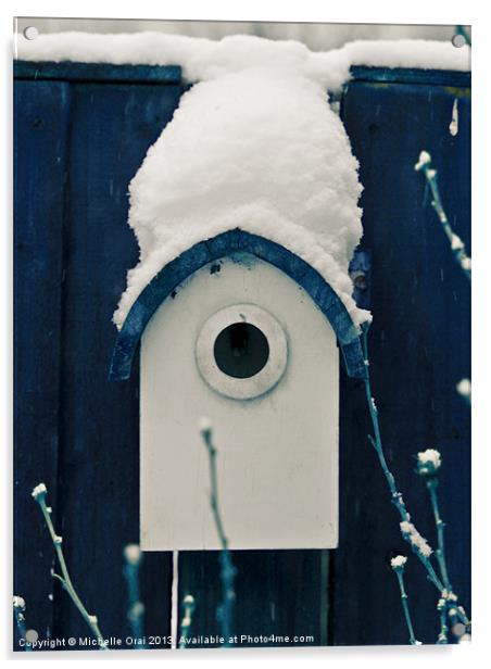 Little Blue Bird House Acrylic by Michelle Orai