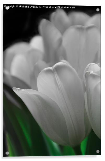 Pure Tulips Acrylic by Michelle Orai