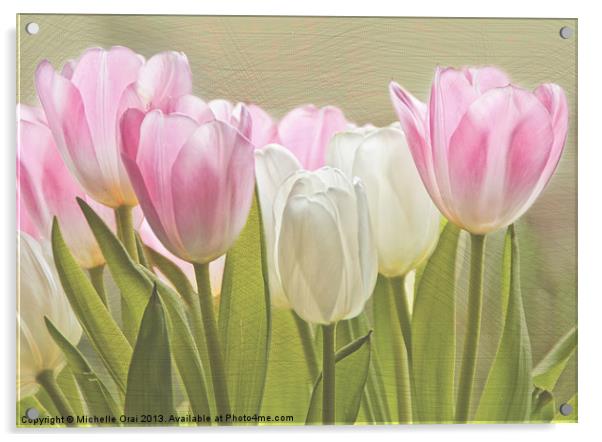 Translucent Tulips Acrylic by Michelle Orai