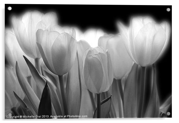 Glowing Tulips Acrylic by Michelle Orai