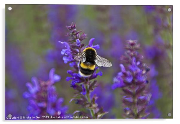 Bumble Bee on lavender Acrylic by Michelle Orai