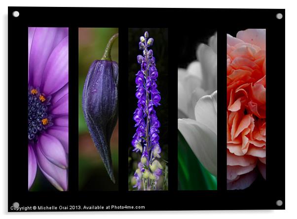 Montage Floral Acrylic by Michelle Orai