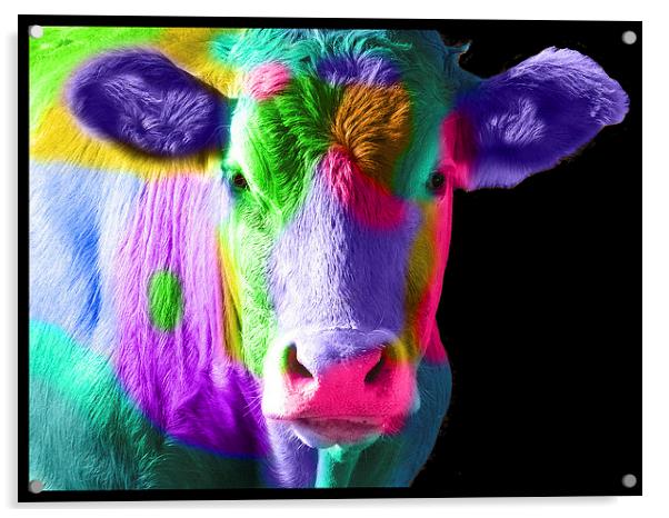 Colourful Cow Acrylic by Michelle Orai