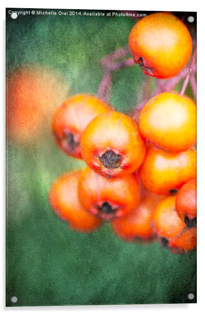 Orange Winter Berries Acrylic by Michelle Orai