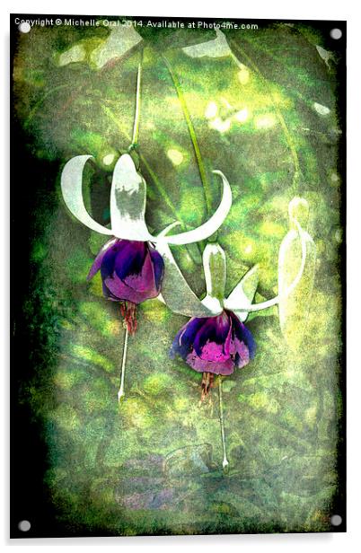  Fuchsias or Fairies Acrylic by Michelle Orai