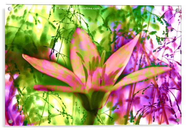 Flower Power Acrylic by Michelle Orai