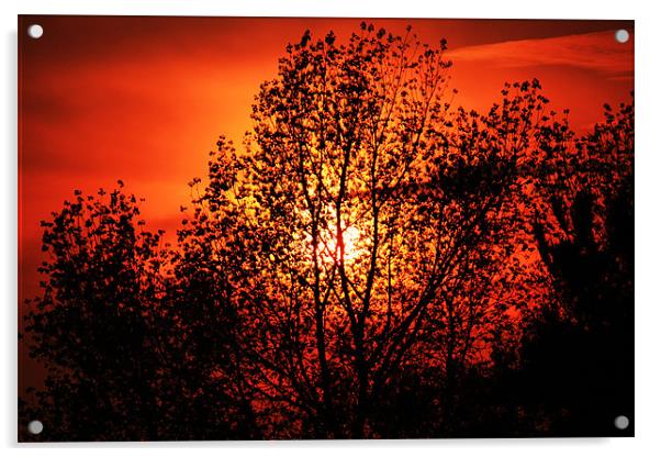 Norfolk summer sunset Acrylic by dennis brown