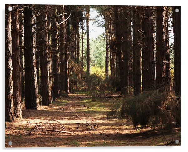 Brown Trees in a Forest Acrylic by Linda Brown