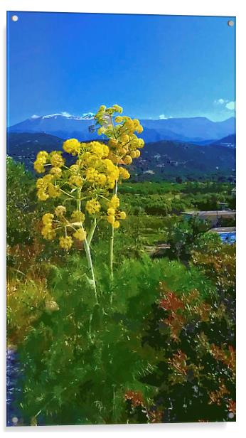 Flower head Mountain peak. Acrylic by Rod Ohlsson