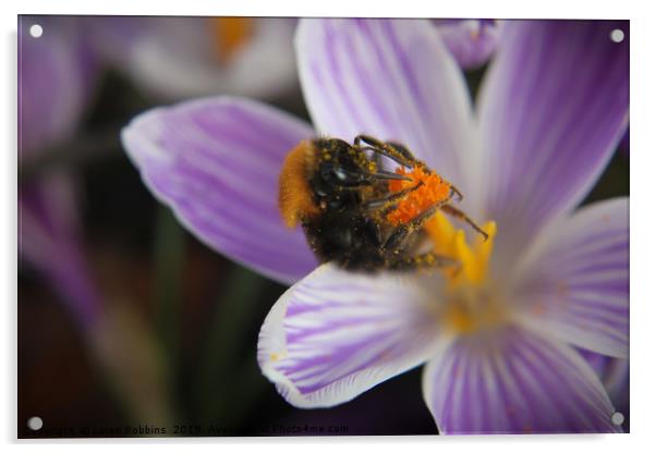 Spring Bee Acrylic by Loren Robbins