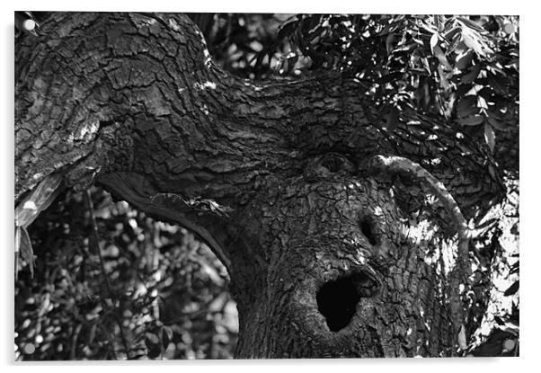 Yawning Tree Acrylic by Ade Robbins