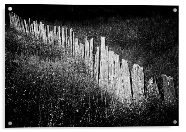 Slate Fence Acrylic by Oriel Forest