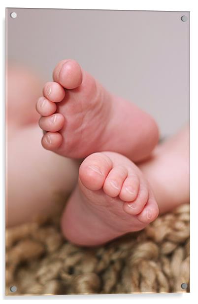Baby Feet Acrylic by Philip Dunk