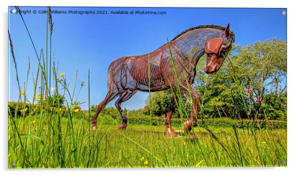 The Featherstone War Horse - 6 Acrylic by Colin Williams Photography