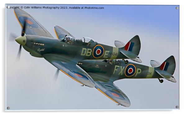 Majestic Spitfires in Flight Acrylic by Colin Williams Photography