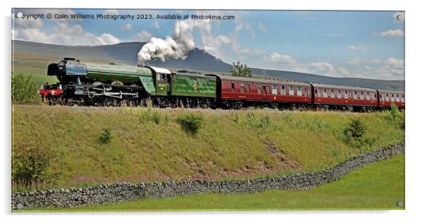 Flying Scotsman 60103 -Settle to Carlisle Line - 2 Acrylic by Colin Williams Photography