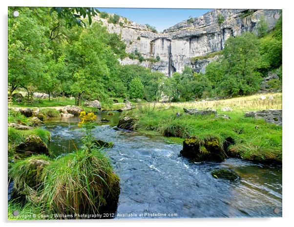 Below Malham Cove Acrylic by Colin Williams Photography