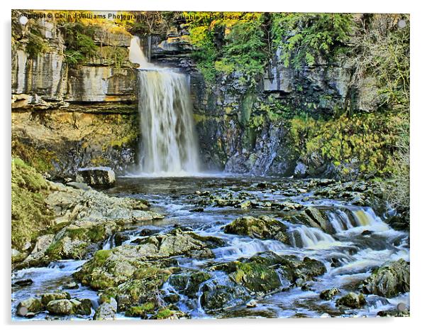 Thornton Force Ingleton Acrylic by Colin Williams Photography