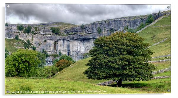 On The Way To Malham Cove Acrylic by Colin Williams Photography