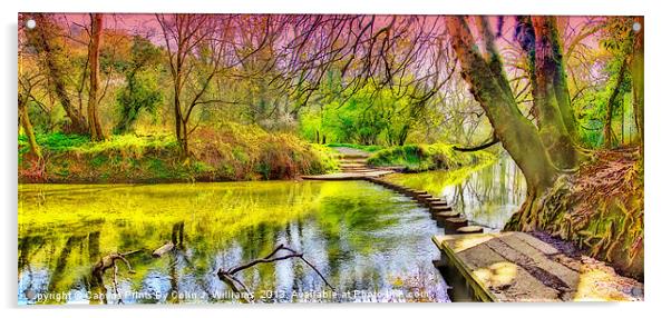 The Stepping Stones - Box Hill Acrylic by Colin Williams Photography