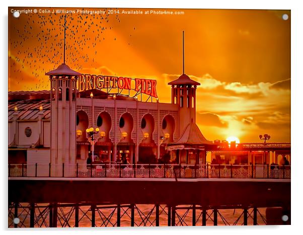 Roosting Starlings - Brighton Pier Acrylic by Colin Williams Photography