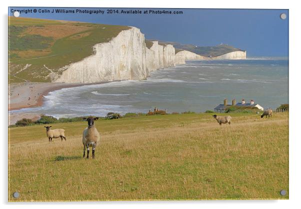  Sheep and the Seven Sisters Acrylic by Colin Williams Photography