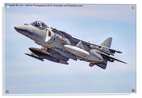 Spanish AV-8B II Harrier 1 Acrylic by Colin Williams Photography