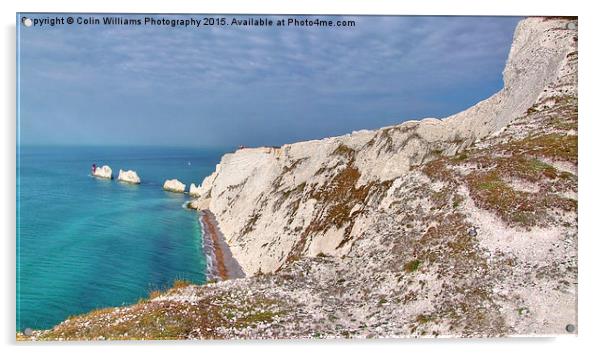  The Needles - Isle of Wight Panorama Acrylic by Colin Williams Photography
