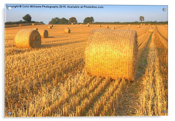    Bales at Sunset 3 Acrylic by Colin Williams Photography