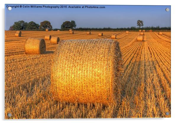  Bales at Sunset 4 Acrylic by Colin Williams Photography