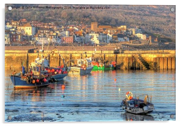 Lyme Regis Harbour  Acrylic by Colin Williams Photography