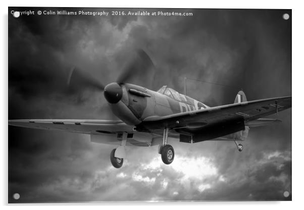 Guy Martin`s Spitfire on Finals Duxford 2015 2 BW Acrylic by Colin Williams Photography