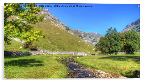 Below Gordale Scar Panorama Acrylic by Colin Williams Photography