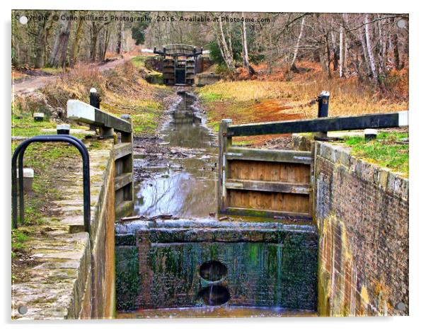  Deepcut locks Basingstoke Canal 3 Acrylic by Colin Williams Photography