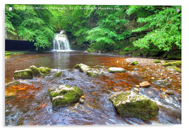 Cauldron Falls West Burton 2 Acrylic by Colin Williams Photography