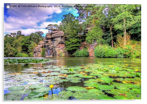 Plumpton Rocks North Yorkshire 1 Acrylic by Colin Williams Photography