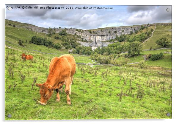 The Cliffs Of Malham Cove 1 Acrylic by Colin Williams Photography