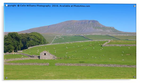 Pen-y-ghent North Yorkshire - 2 Acrylic by Colin Williams Photography