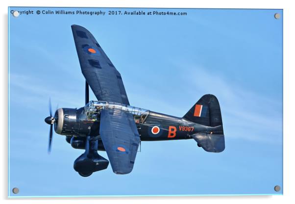 1938 WESTLAND LYSANDER - 2 Acrylic by Colin Williams Photography