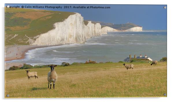  Sheep and the Seven Sisters 2 Acrylic by Colin Williams Photography