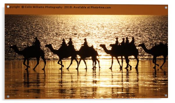 Beach Camels at Sunset 1 Acrylic by Colin Williams Photography